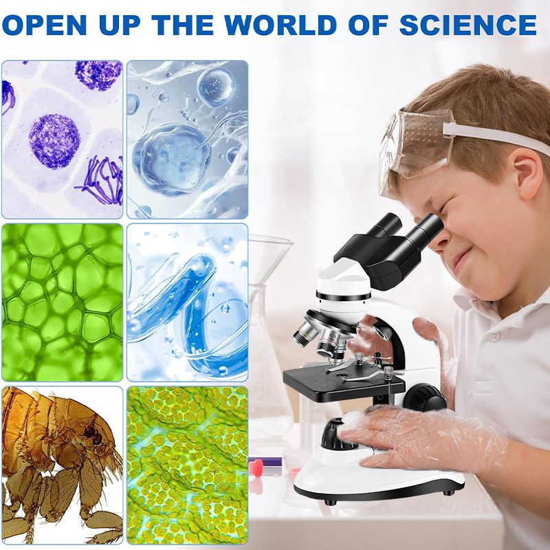 40X-1280X Compound Binocular M - Medical Lab Microscope 리뷰 및 가격