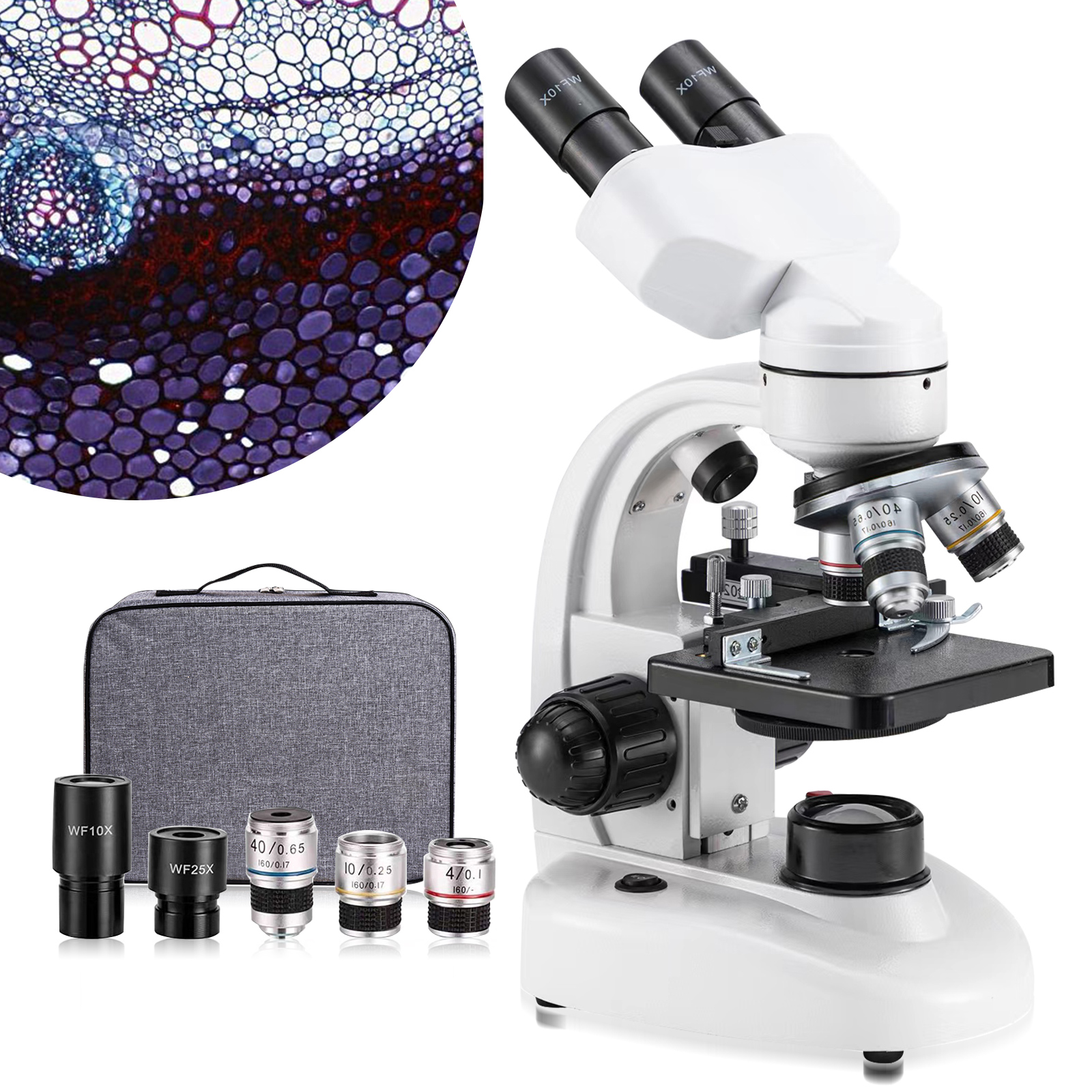 Biological Double Eyepiece Mic - Medical Lab Microscope 리뷰 및 가격