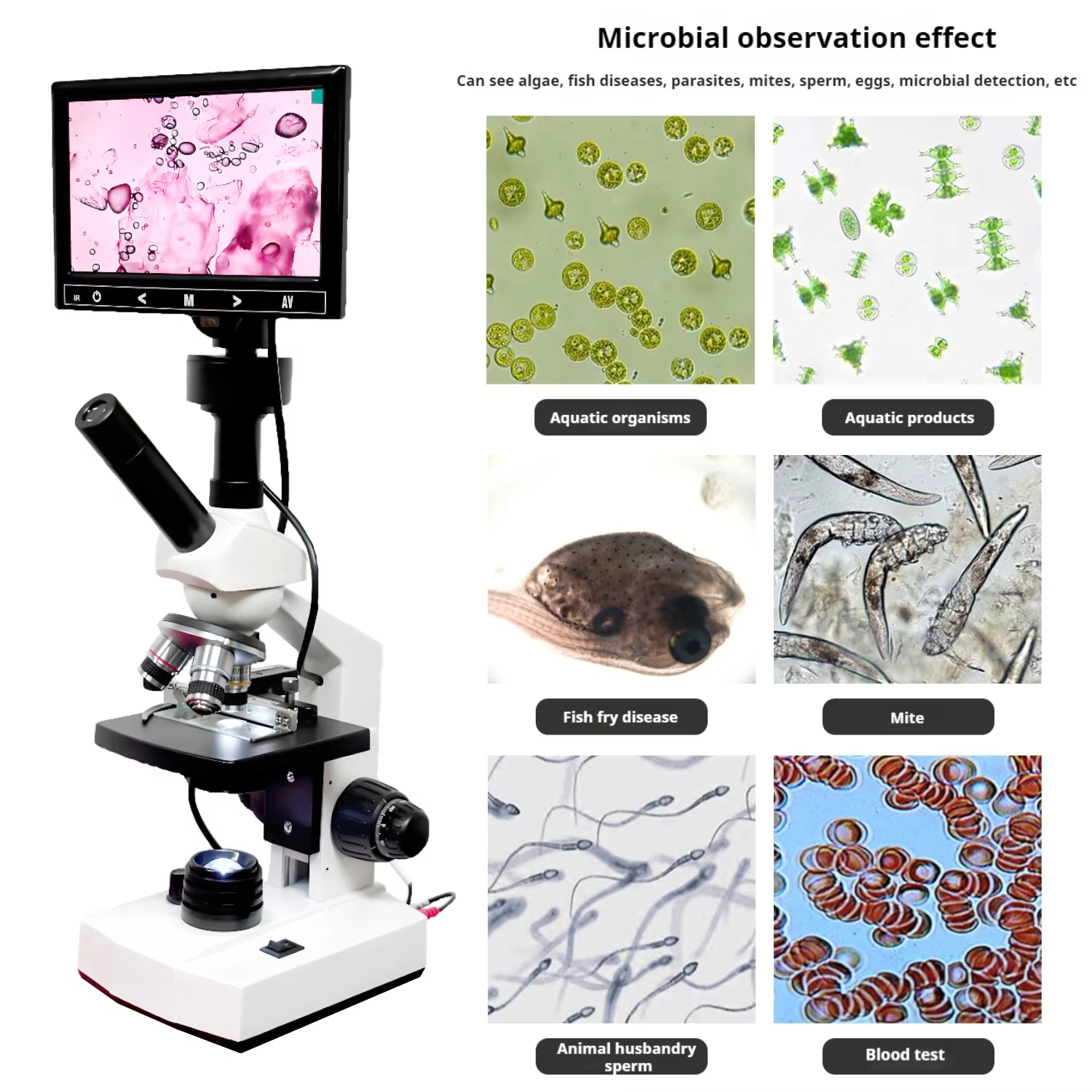 Top Selling HD Screen Digital  - Medical Lab Microscope 리뷰 및 가격