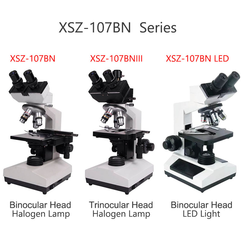Xsz-107bn Electron Laboratory  - Medical Lab Microscope 리뷰 및 가격