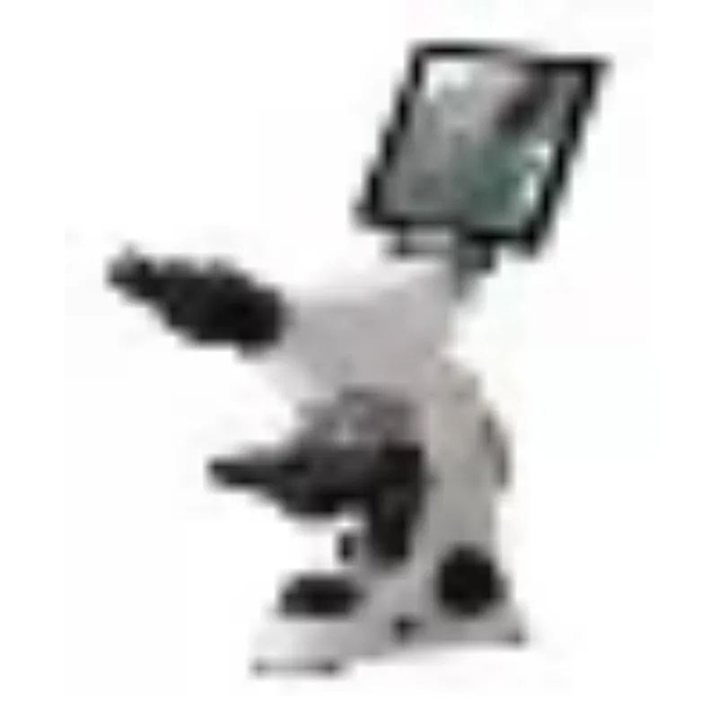 2026 New Stainless Steel Medic - Medical Lab Microscope 리뷰 및 가격