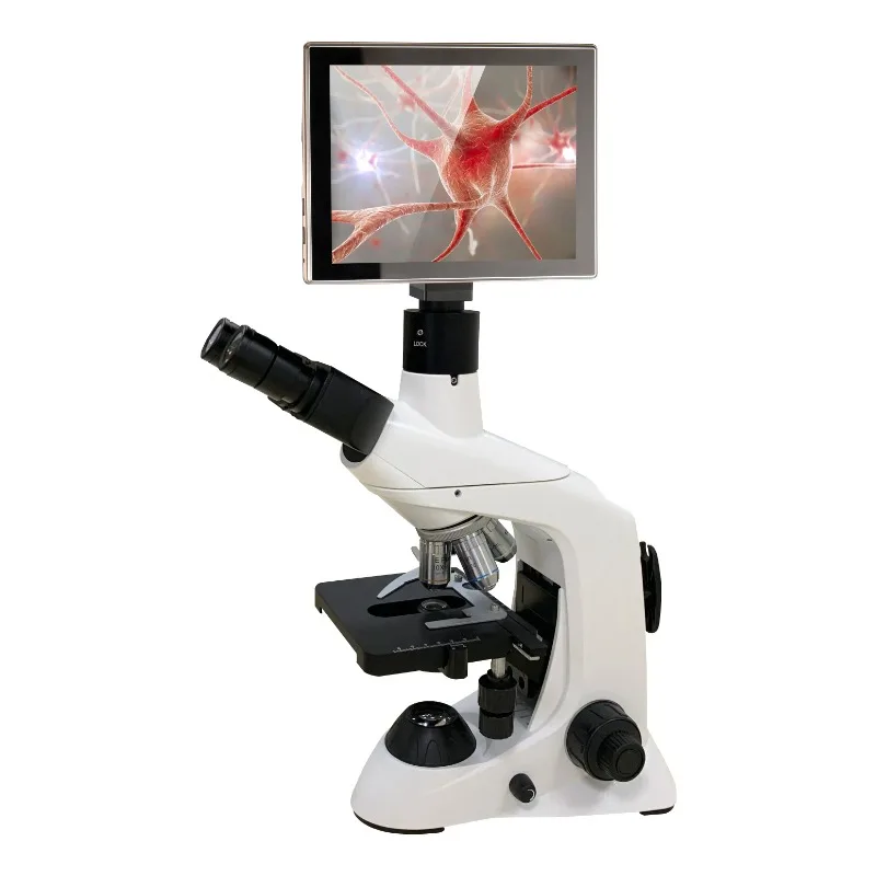 2026 New Stainless Steel Medic - Medical Lab Microscope 리뷰 및 가격