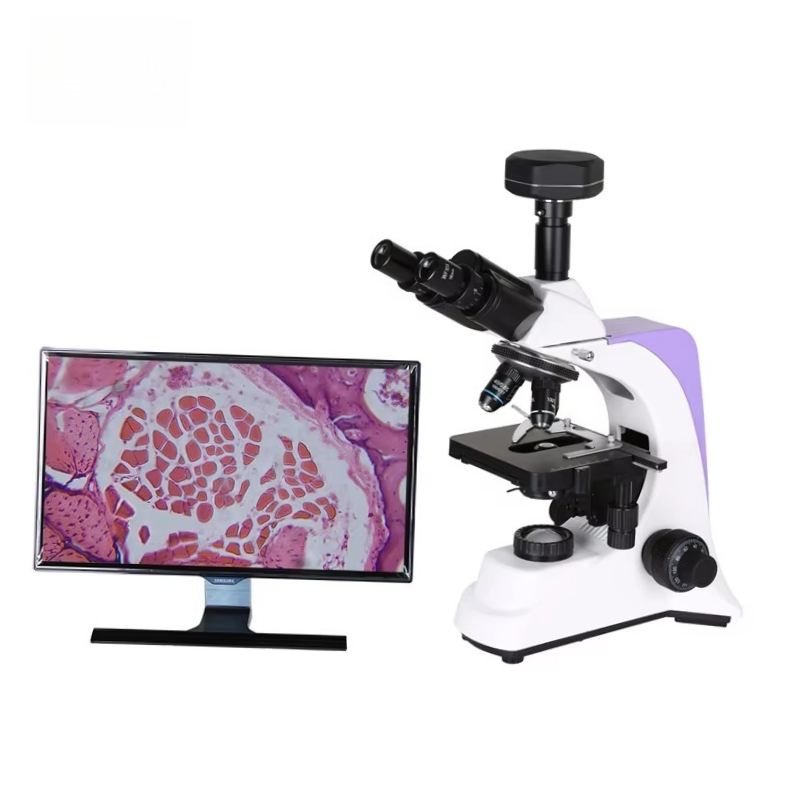 2026 Medical Lab Digital Biolo - Medical Lab Microscope 리뷰 및 가격