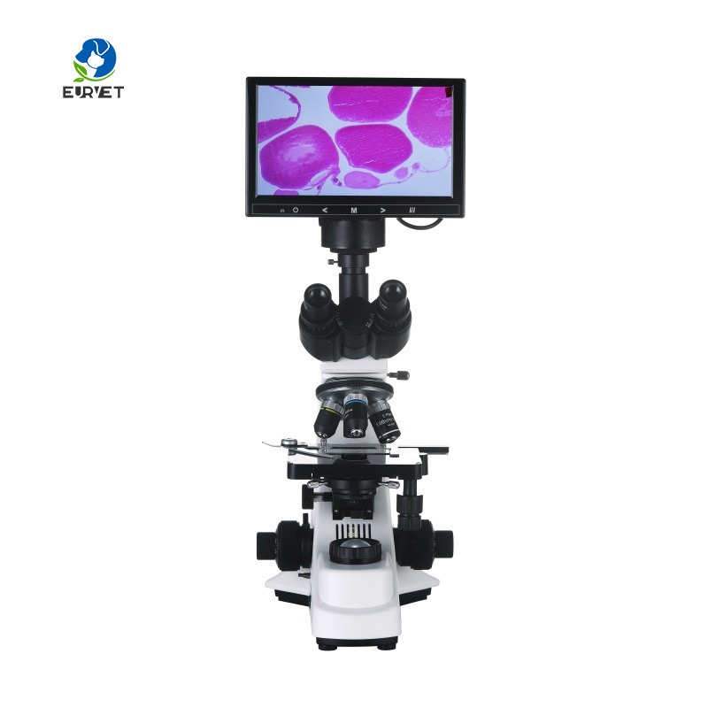 2026 Medical Lab Digital Biolo - Medical Lab Microscope 리뷰 및 가격