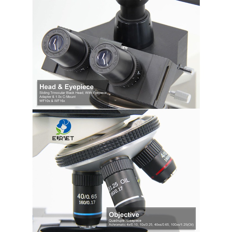 2026 Medical Lab Digital Biolo - Medical Lab Microscope 리뷰 및 가격